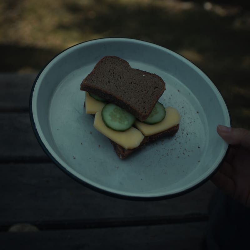 Belegtes dunkles Brot mit Käse und Gurke auf einem Emailleteller.