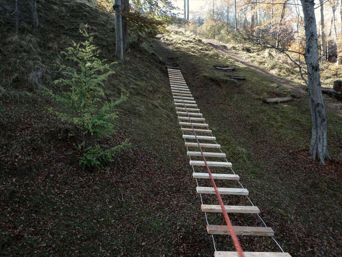 Reihe hängender Holzstufen an Stahlseilen, die den bewaldeten Hang hinaufführt.