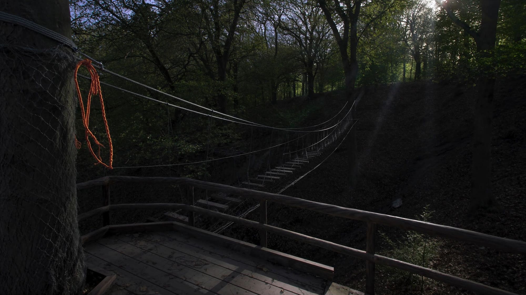 Blick von einer Plattform in fünfzehn Metern Höhe auf eine Seilbrücke zwischen zwei Buchen.