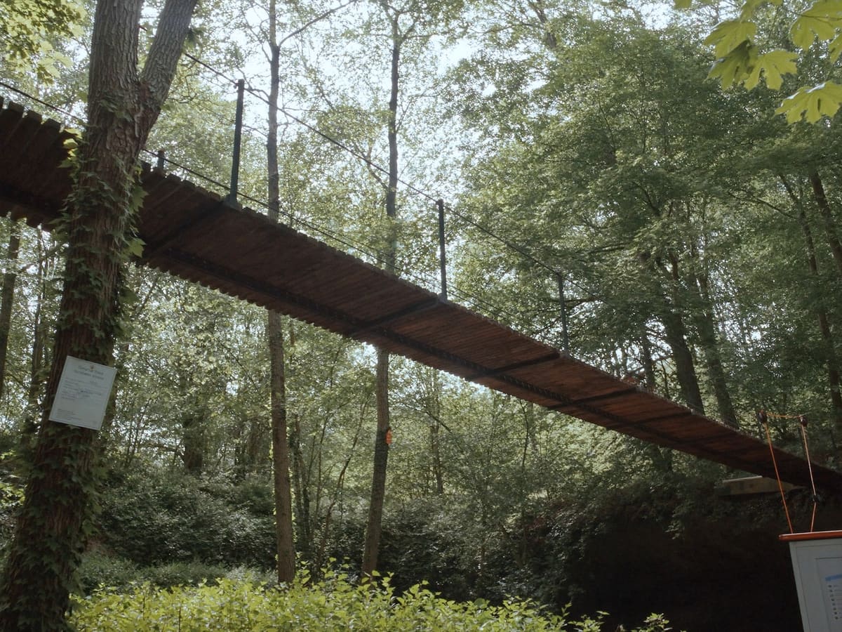 Hängebrücke aus Holzlatten und Stahlseil in vier Metern Höhe, von unten gesehen.