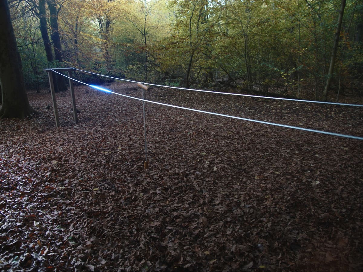 Niedrige Seilbrücke aus zwei Stahlseilen und kurzen Holzsprossen, knapp über dem Buchenlaub.